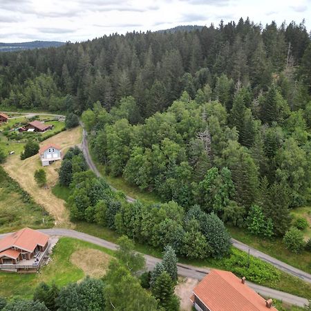 Chalet L'Appel De La Foret Gérardmer Eksteriør bilde