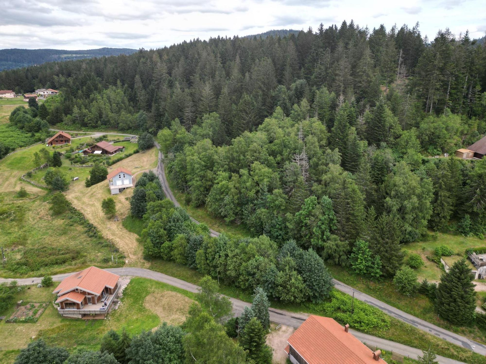 Chalet L'Appel De La Foret Gérardmer Eksteriør bilde