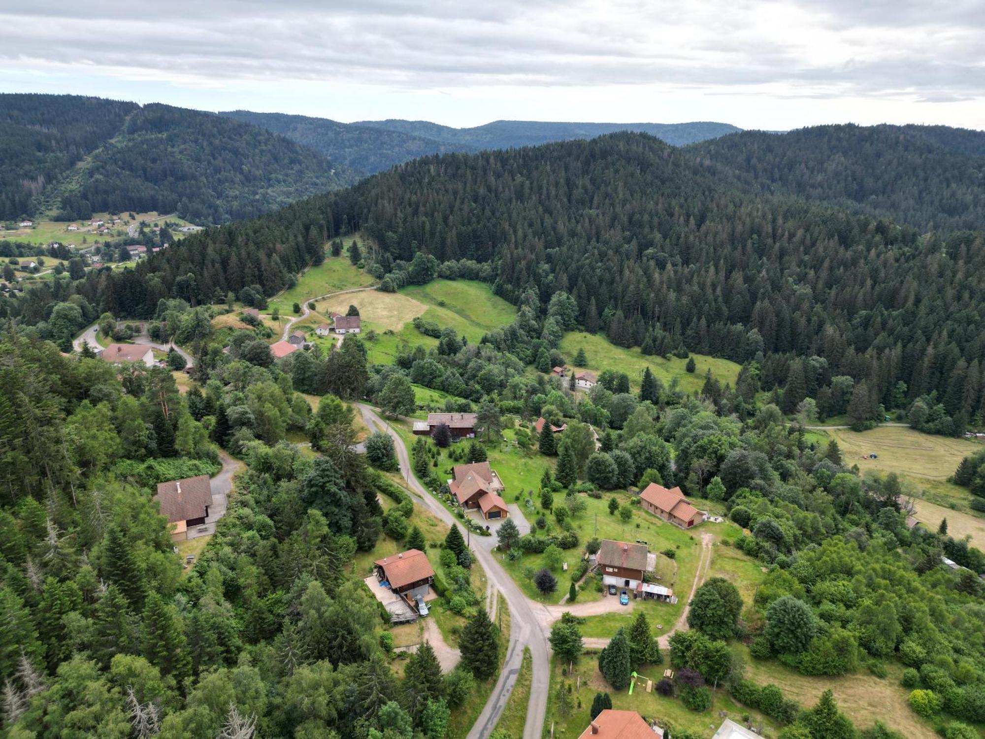 Chalet L'Appel De La Foret Gérardmer Eksteriør bilde