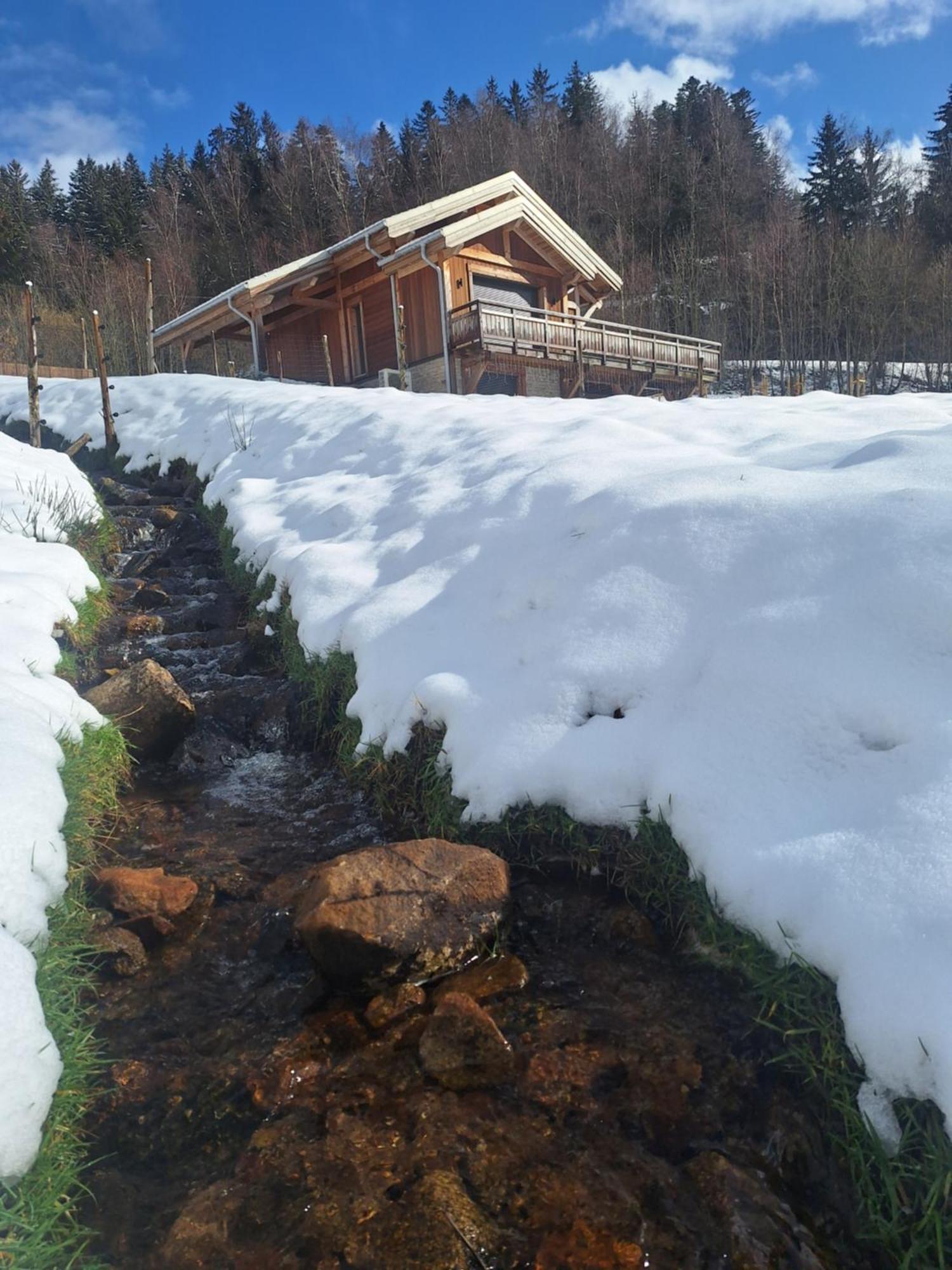 Chalet L'Appel De La Foret Gérardmer Eksteriør bilde