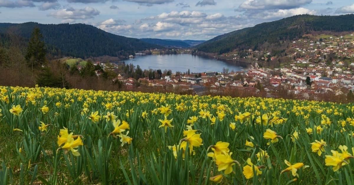 Chalet L'Appel De La Foret Gérardmer Eksteriør bilde